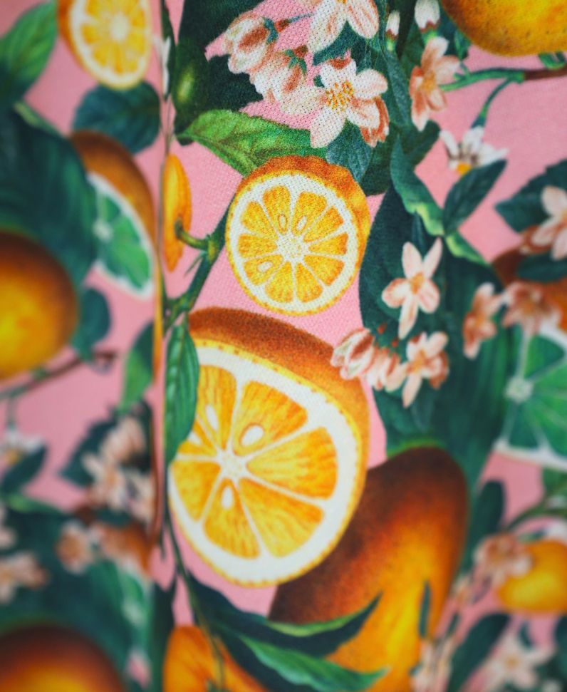Midirock Limoni su rosa