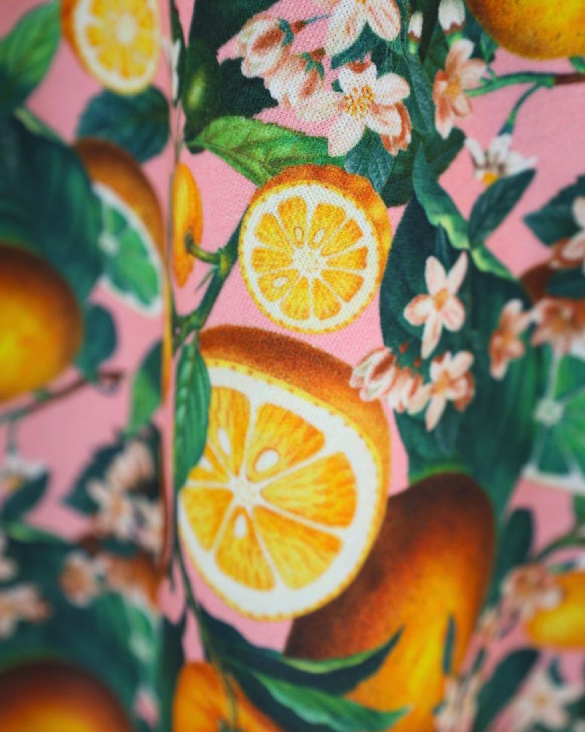 Midirock Limoni su rosa